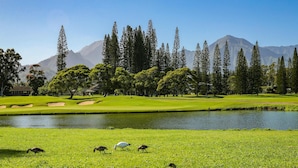 Ein Golfplatz mit Teich, Bäumen und Bergen im Hintergrund.