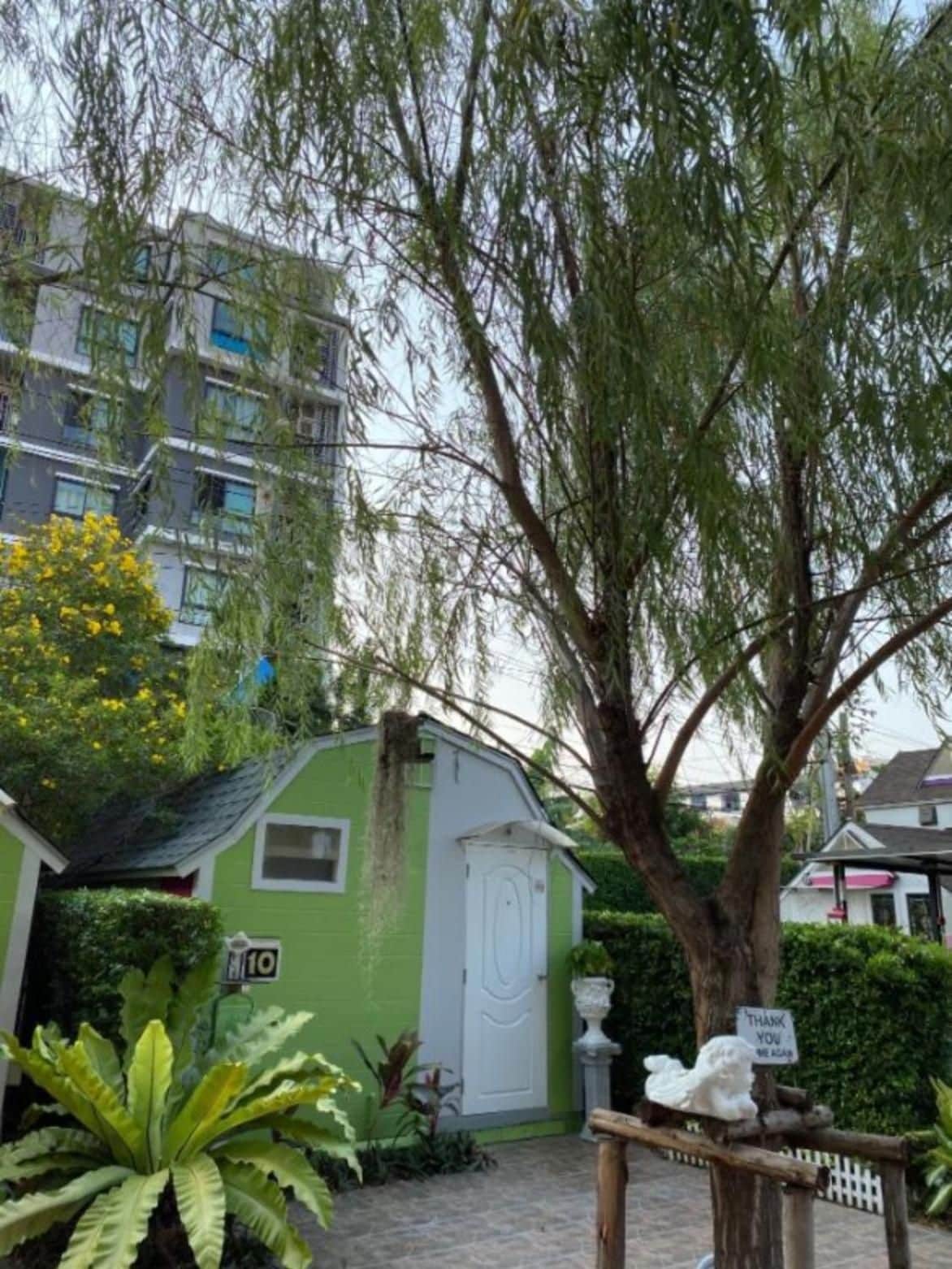 A green shed with a white door, surrounded by plants and a tree.