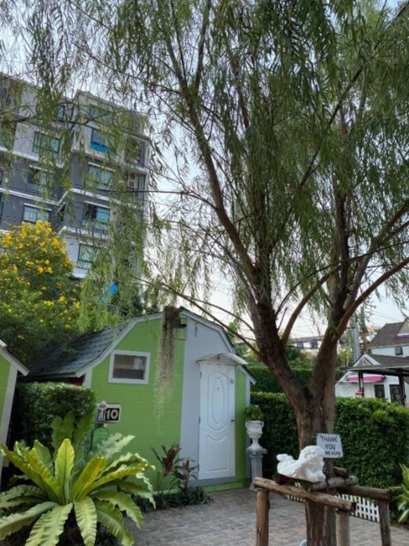 A green shed with a white door, surrounded by plants and a tree.