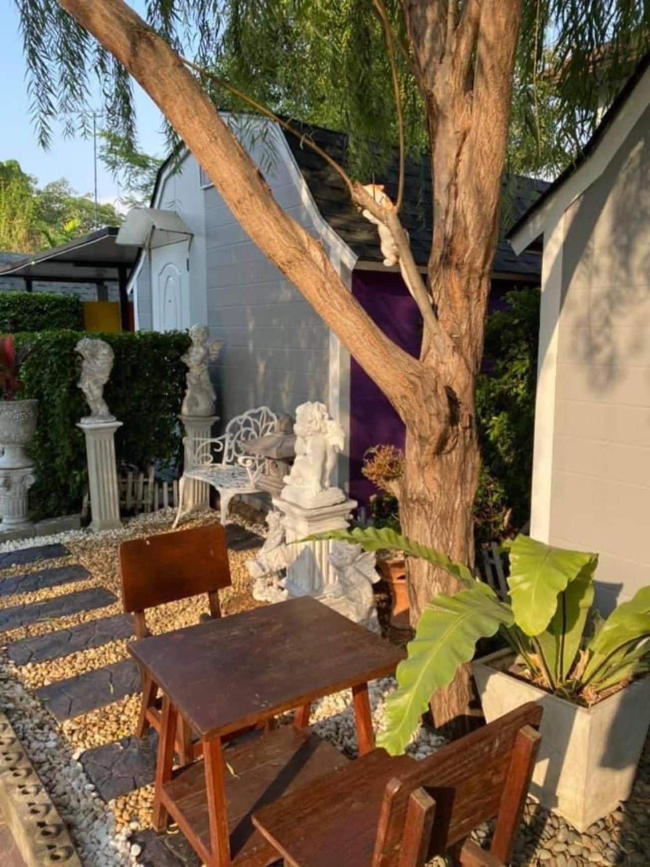 รับประทานอาหารกลางแจ้ง