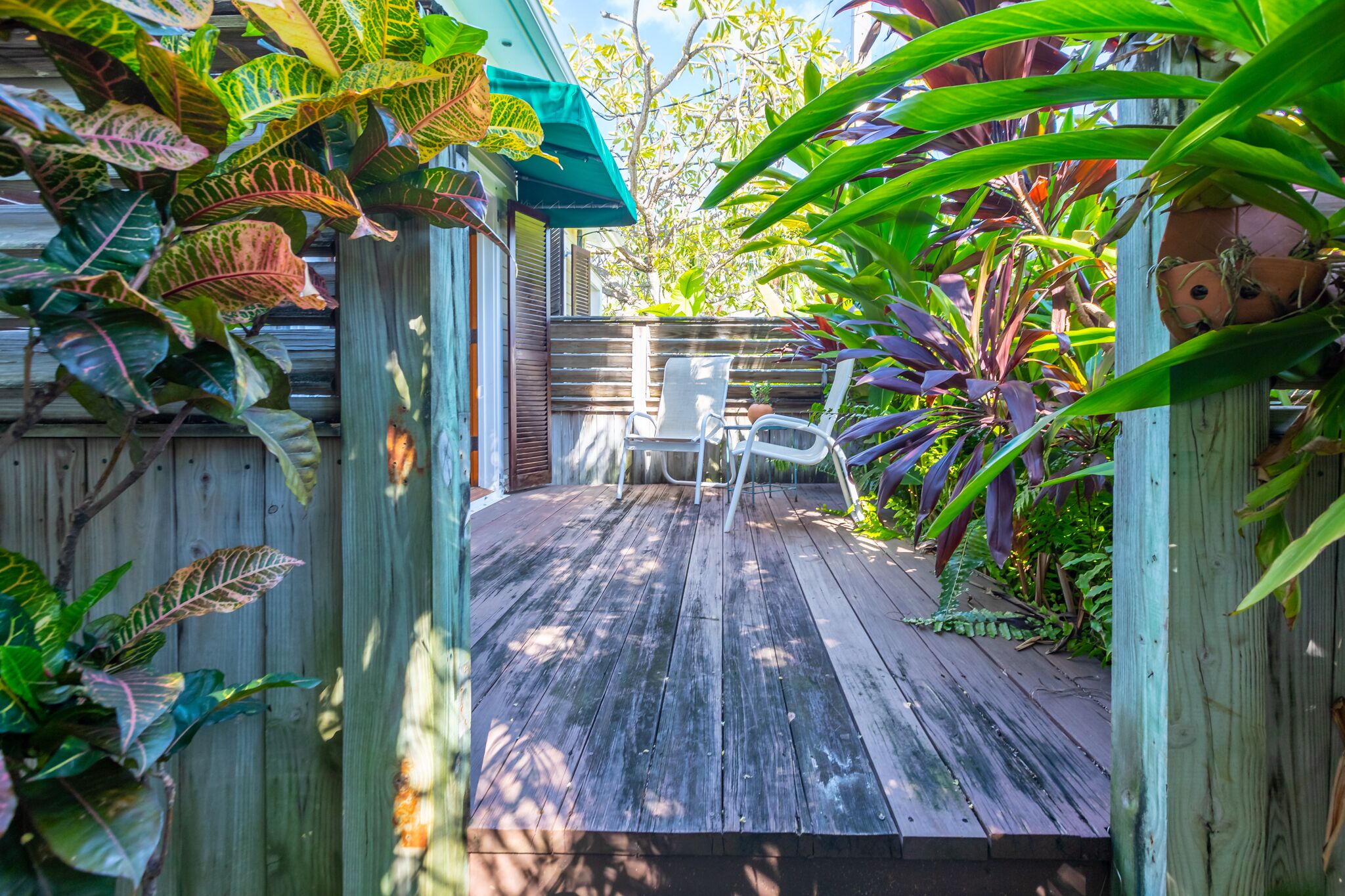 A wooden deck with a chair, surrounded by lush tropical plants.