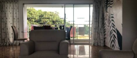 Televisor