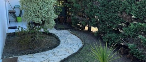 A stone pathway leading to a small garden area with a variety of plants and a neatly trimmed bush.