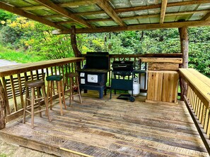 Terrace/patio - Nestled inside the Great Smoky Mountains National Park (Cherokee)