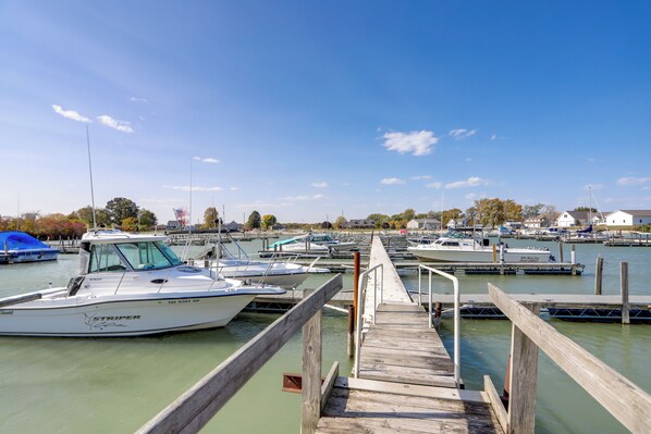 Marina