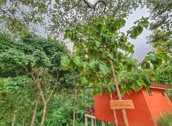A red building with a sign reading "Vitta Kantuu" surrounded by lush greenery and trees.