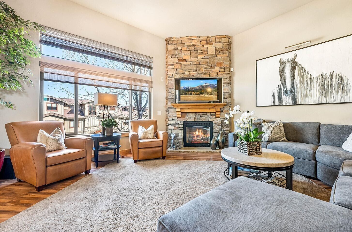 Televisión, chimenea, libros y impresora 