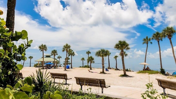 Een strand met palmbomen, een prieel en bankjes.