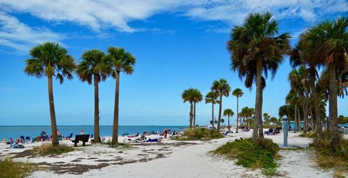 Tropical Pool Retreat in Tarpon Springs