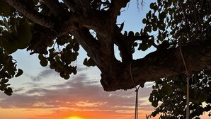 A person on a swing overlooking a beach at sunset.