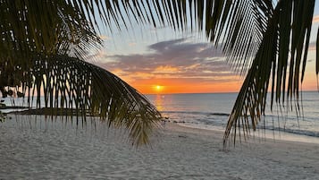 Plage, chaises longues, serviettes de plage