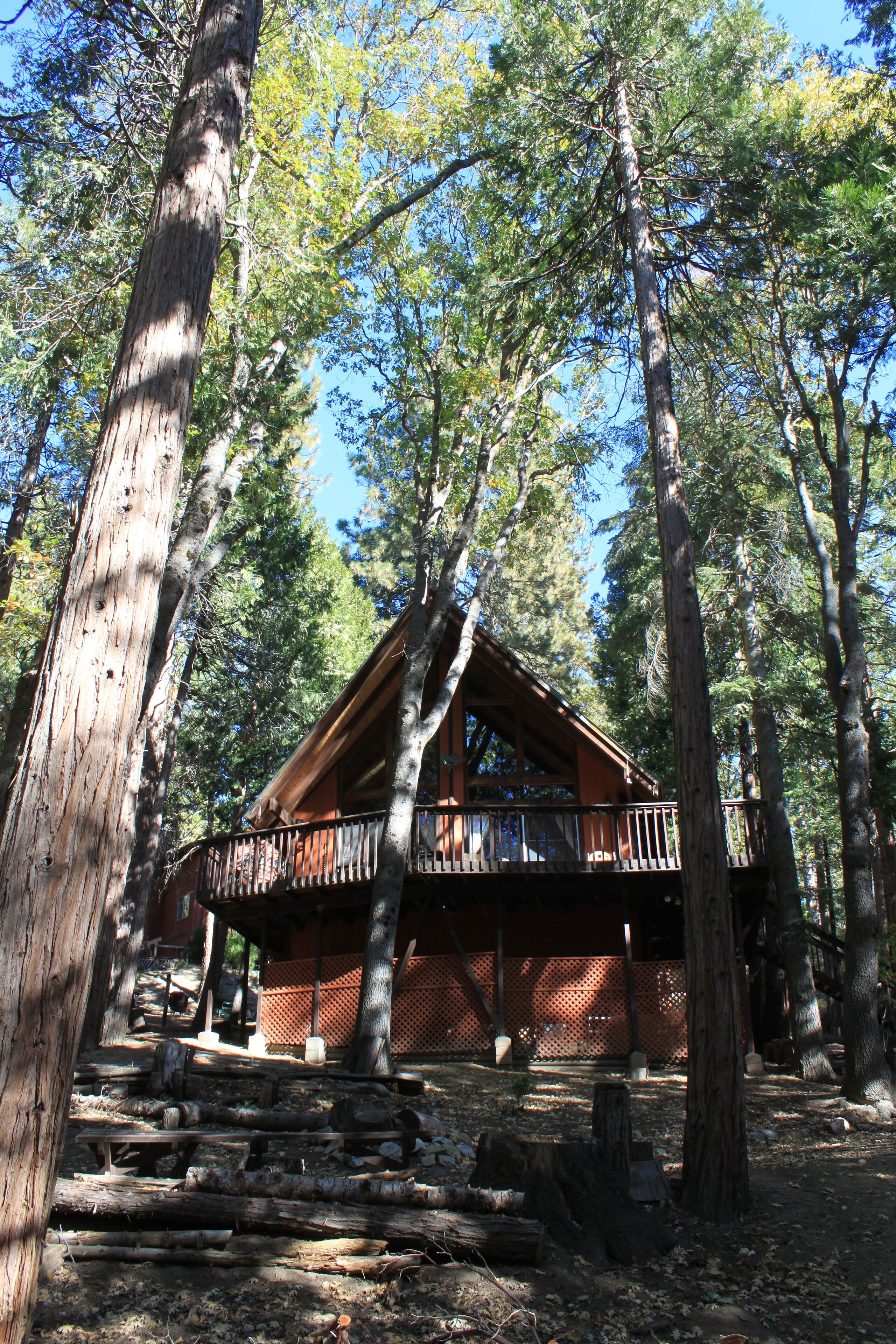 A cabin with a balcony, surrounded by tall trees and wooden logs.