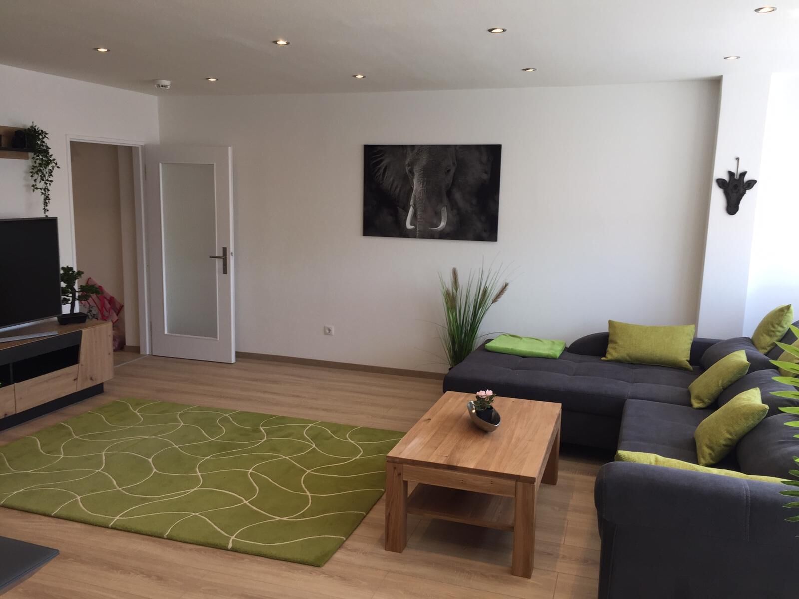 Ein modernes Wohnzimmer mit einer Couch, einem Couchtisch, einem Fernseher und einem grünen Teppich.