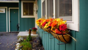 A building with a green exterior and a window with a basket of flowers. - Woodlands Retreat (Lake George)