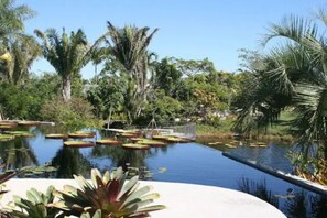 A serene outdoor pool area with water lilies and tropical plants. - Close to parks, beaches and downtown Naples (Naples)