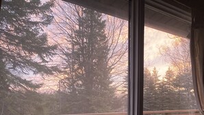 A view from a window with a wooden deck and railing, overlooking a forested area. - Hideaway in The Blue Mountains ***all seasons*** (The Blue Mountains)