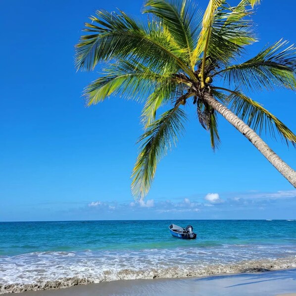 كراسي للتشمس