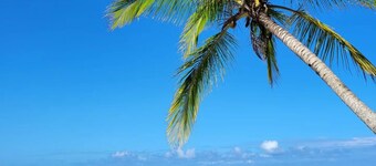 Peyo 's House (Piscina,Wifi,BBQ, Juegos de Mesa)