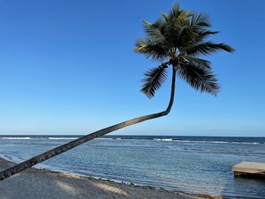 Pantai berhampiran, pasir putih 