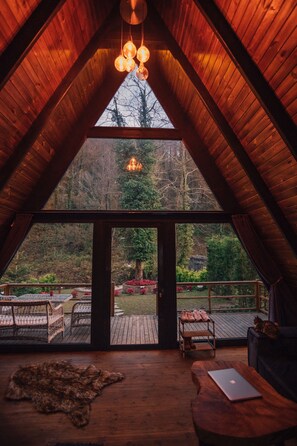 Fernseher, Kamin