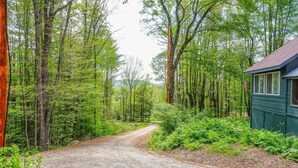 Un chemin de terre mène à un chalet entouré d’une forêt dense.