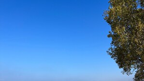 Ein Strand mit einer Holzlattenzaun, grünen Dünen und blauem Himmel.