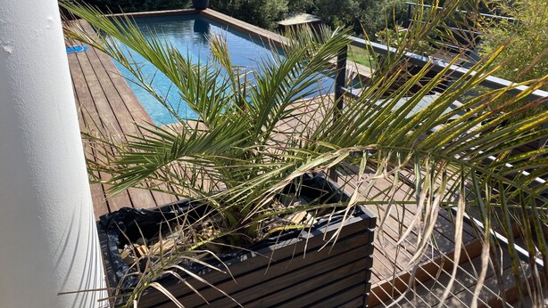 A pool with a wooden deck, surrounded by greenery and mountains in the background. - CONTEMPORARY VILLA WITH AMAZING VIEW OF LAKE SALAGOU (Soumont)