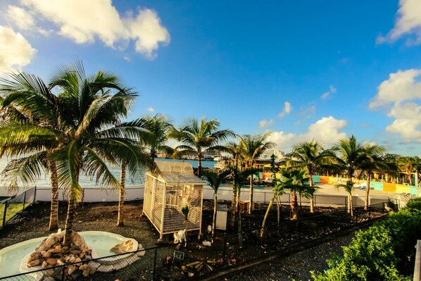 Un resort tropical con palmeras, piscina y zona de playa.