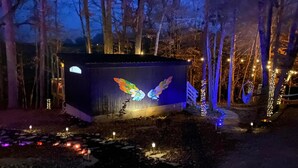 A cabin with a colorful bird mural, surrounded by trees and string lights.