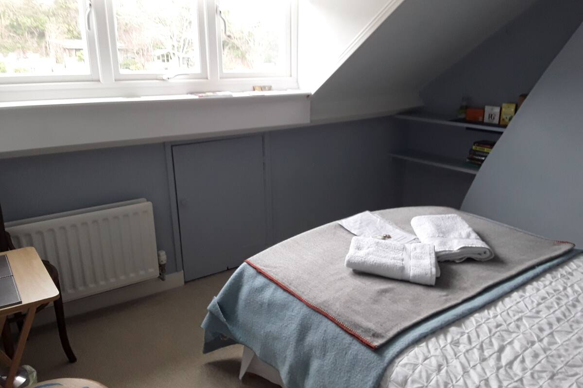 Une chambre à coucher avec un lit, un radiateur, une fenêtre et une étagère remplie de livres.