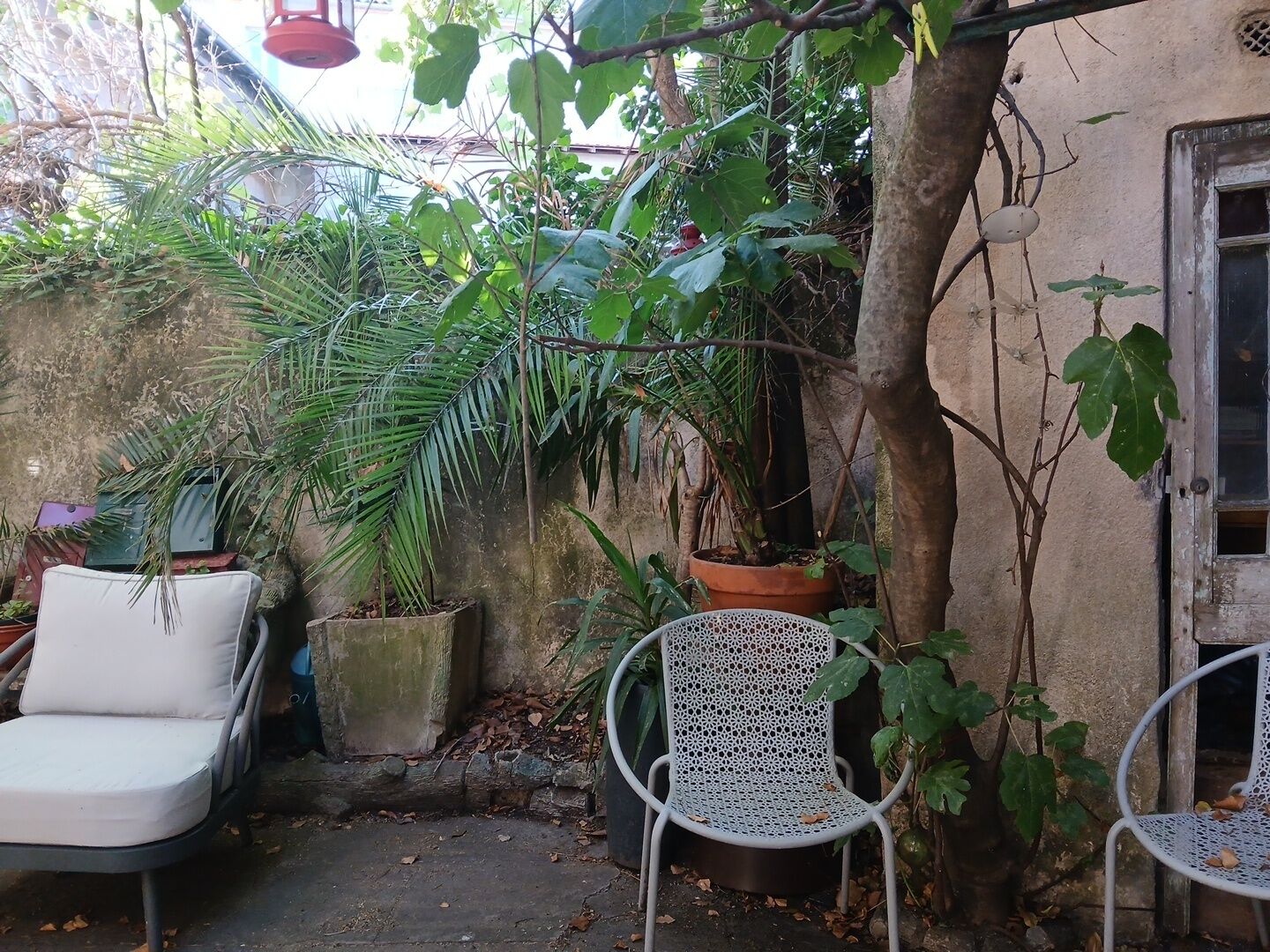 A small outdoor seating area with two white metal chairs, surrounded by potted plants and a tree.