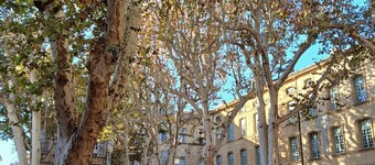 Finsonius Studios
