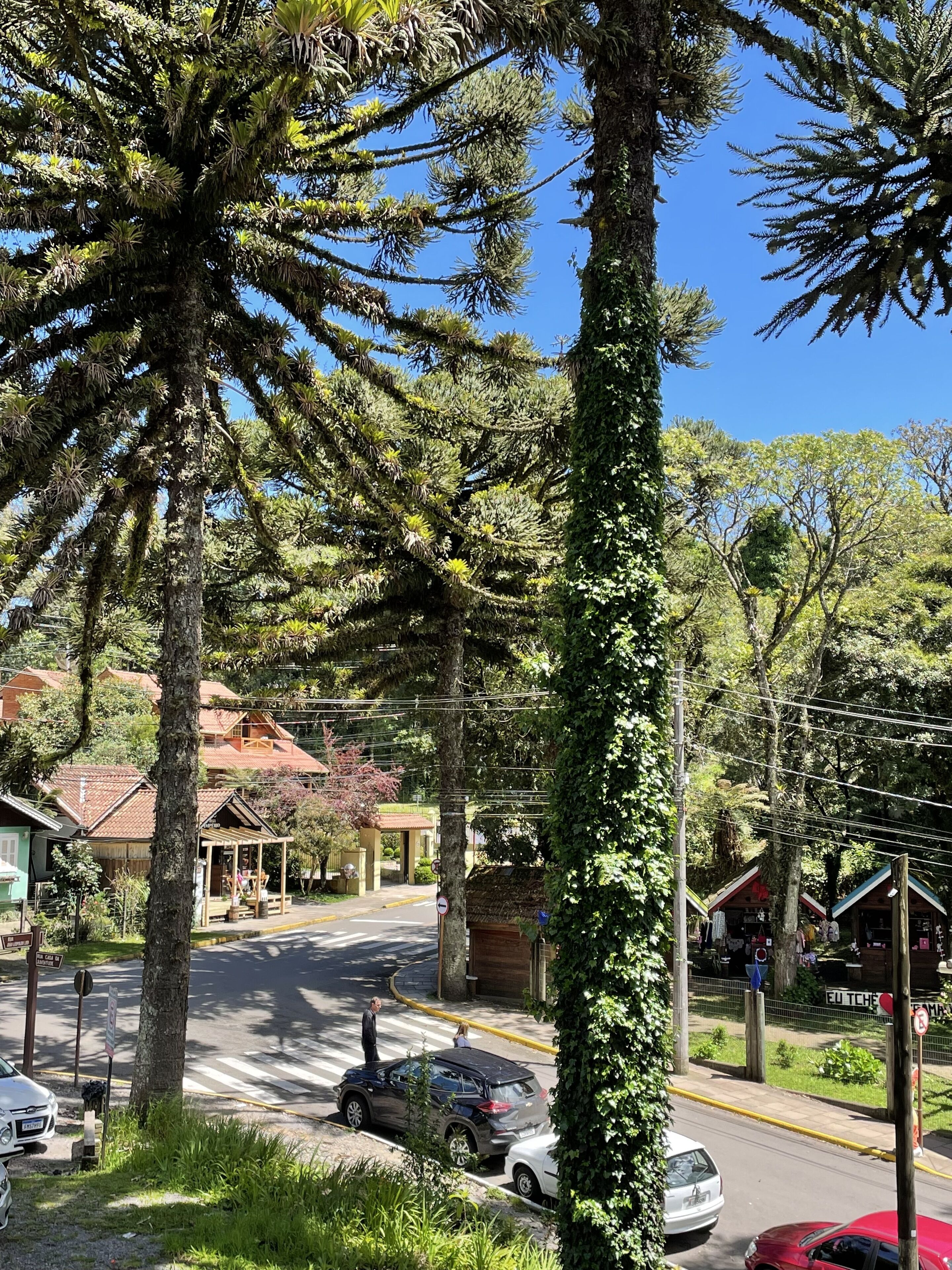 Foto - Pousada Vista do Lago - HOSTEL