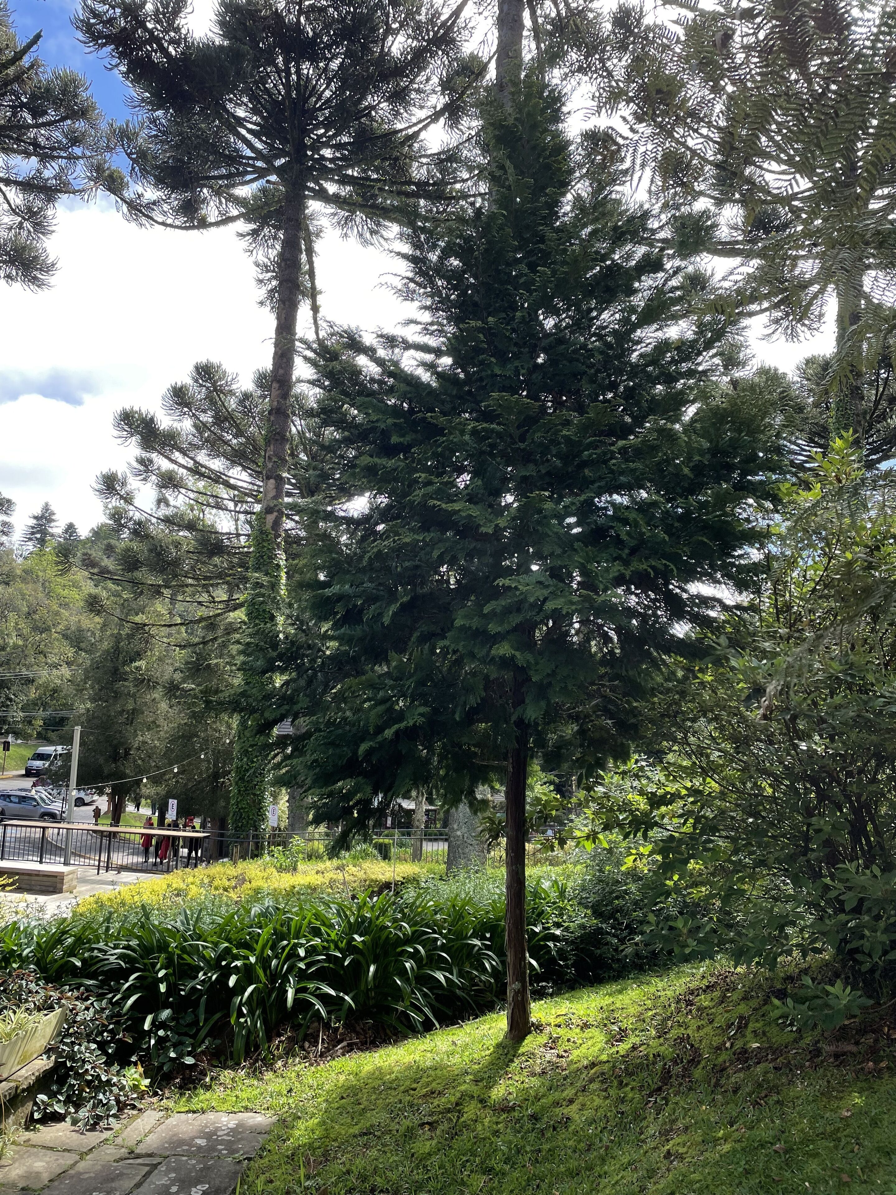 Foto - Pousada Vista do Lago - HOSTEL