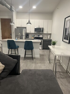 Private kitchen - Luxury midtown/ downtown apt near medcenter (Houston)