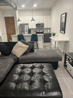 Living area - Luxury midtown/ downtown apt near medcenter (Houston)
