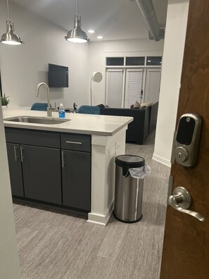 Interior - Luxury midtown/ downtown apt near medcenter (Houston)