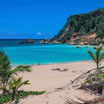 Infinity Pool | XL HOT TUB | Walk to Beach