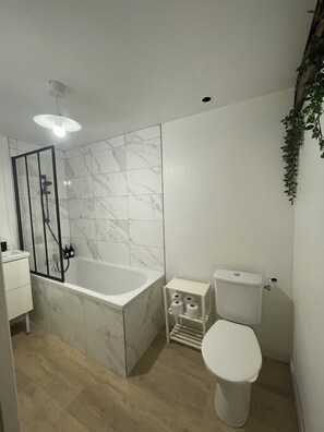 Combined shower/tub, hair dryer, towels, toilet paper - Apartment "Le Jungly" renovated character duplex, near CNPE (Meximieux)