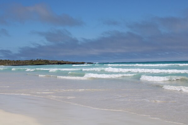 Una playa con olas y cielo despejado.