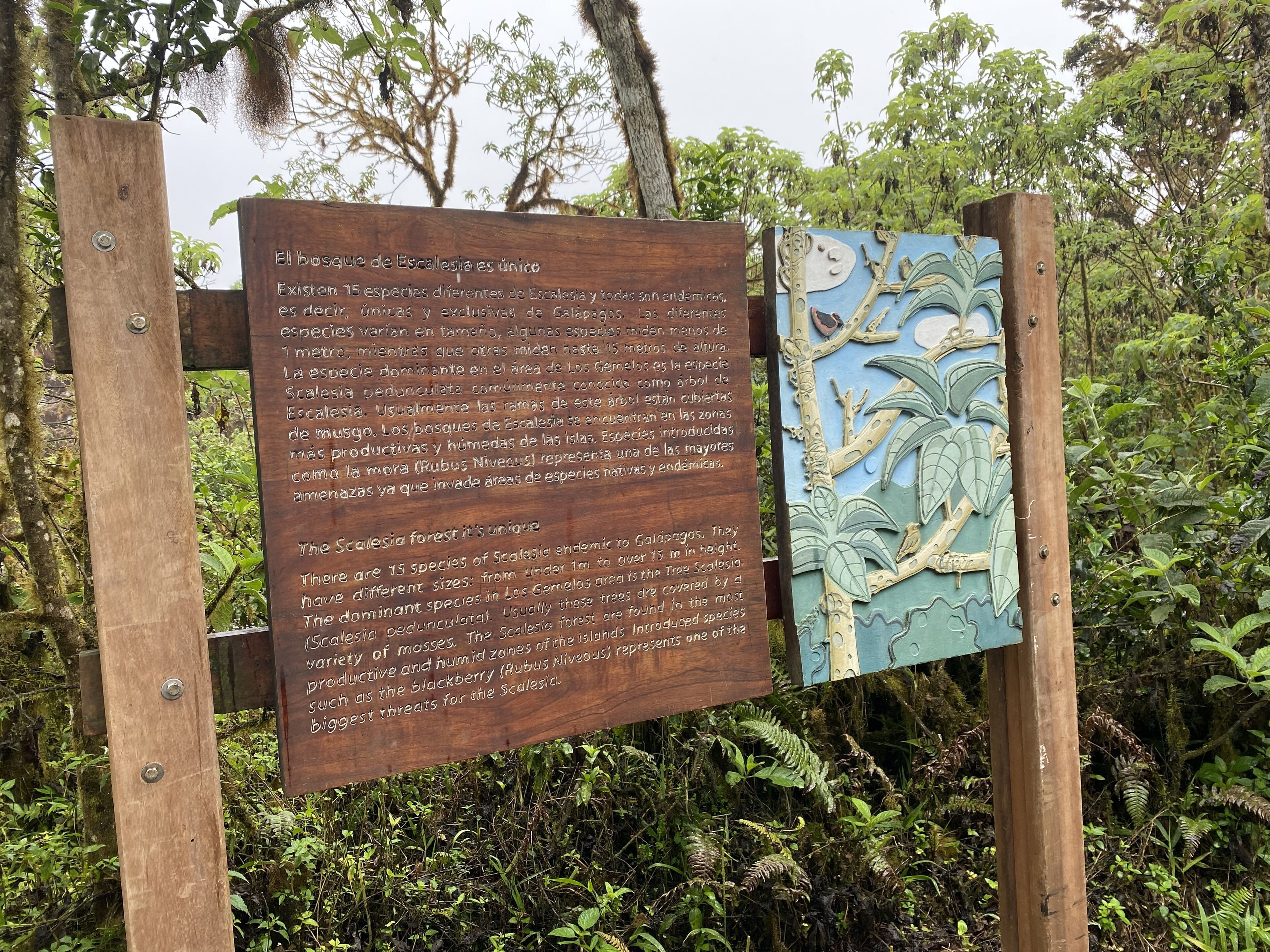 Ein hölzernes Schild mit Schriftzug und einer verzierten Platte, umgeben von üppigem Grün.