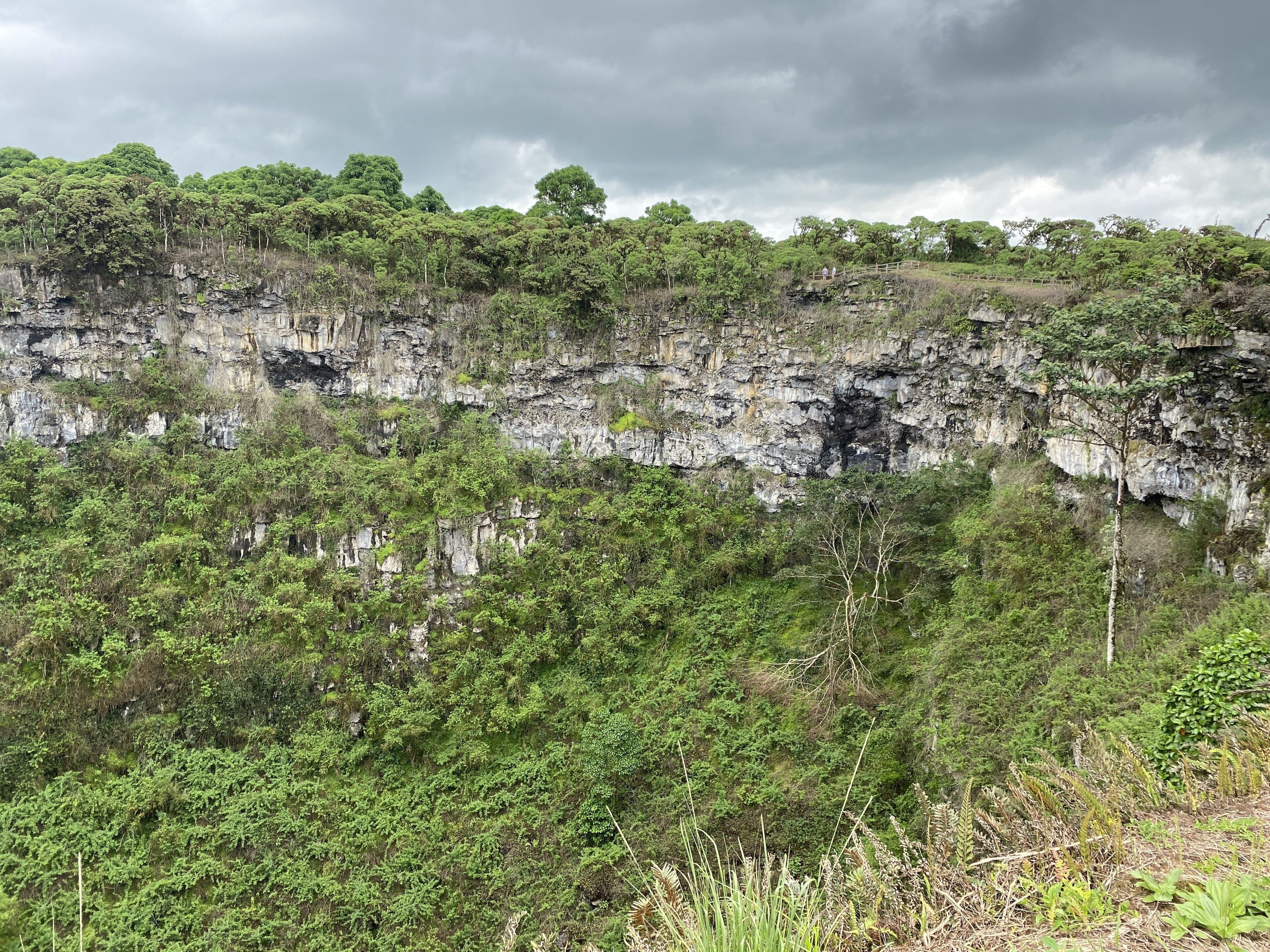 Een natuurlijk landschap met een rotsachtige klif en weelderige begroeiing.