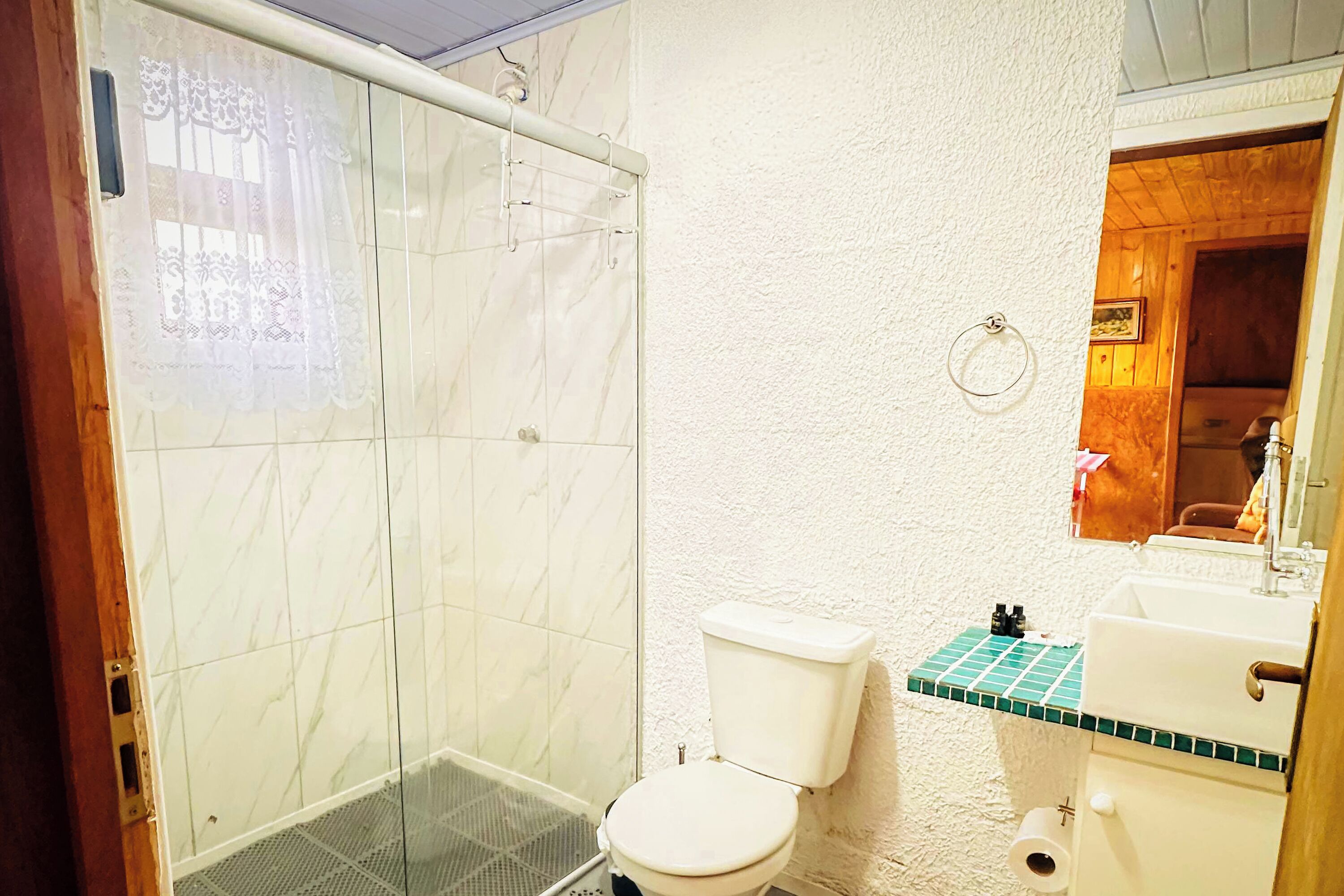 Een badkamer met een douchecabine van glas, een toilet en een wastafel met betegeld aanrecht.