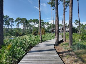 A wooden boardwalk through a forested area with tall trees and a body of water in the background.