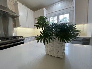 Fridge, microwave, oven, stovetop - NEW LISTING! - Brand new 4BR/2BA ,100 steps to the beach! (Saint Teresa)