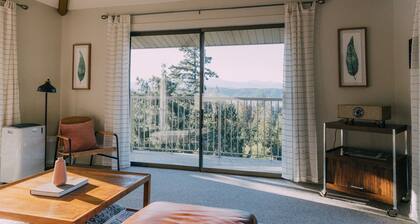 Iconic Union Skyhouse with Hood Canal views