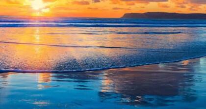 Unit 2 - B Ave Bungalows · Beachside 1/1, 5-10 Min Walk to Coronado Beach!