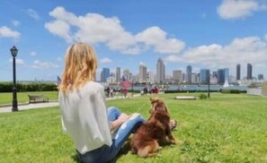 Nicht klassifiziertes Bild, 5 von 34, Schaltfläche