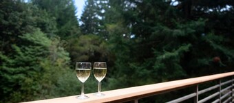 Cozy cottage retreat surrounded by acres of private forest and trails