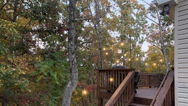 A wooden deck with a staircase leading to a covered area, surrounded by trees with autumn foliage.